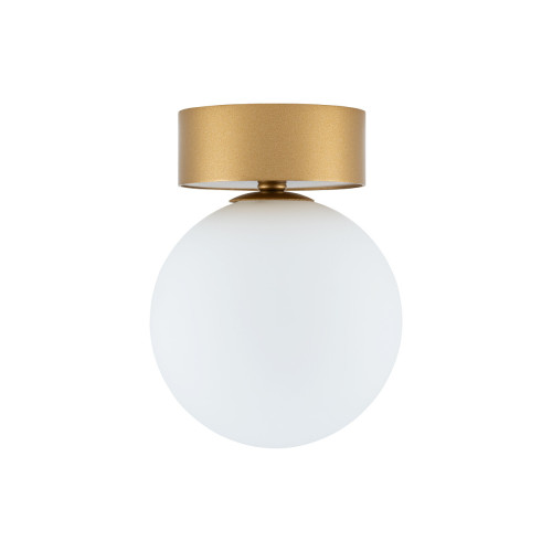 Aplica Kier S Gold 10623 Nowodvorski