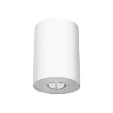Spot Point white Silver/White Graphite S 6000 Nowodvorski